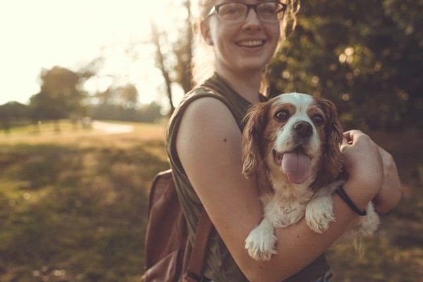Quelles techniques de méditation peuvent aider à calmer un chien de race Boxer hyperactif?